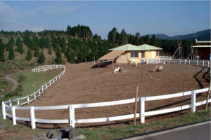 富士山こどもの国草原の動物広場